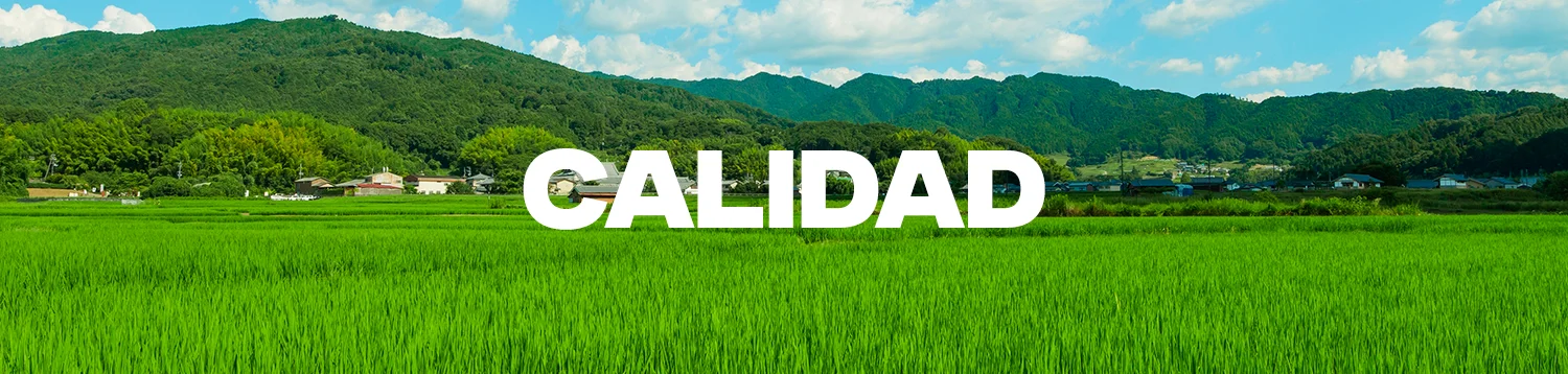Agricultura sostenible - Cultivos verdes en campos extensos