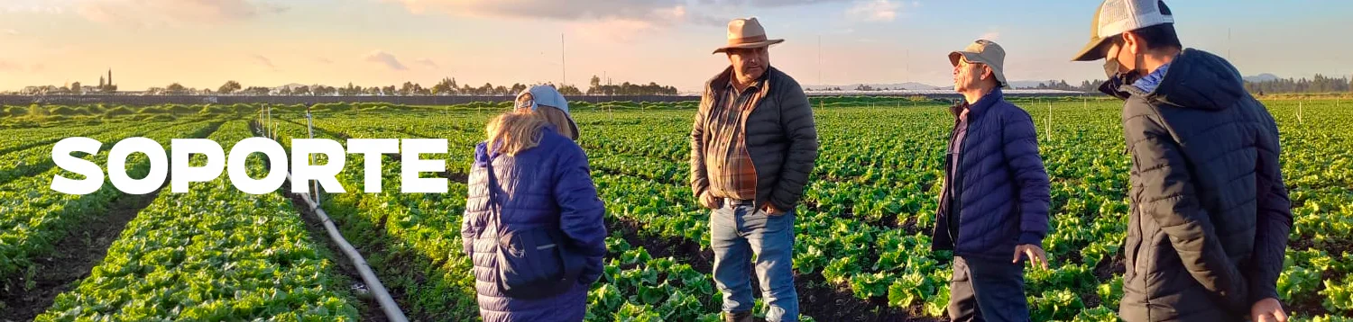 Tecnología agrícola - Equipos modernos en operación