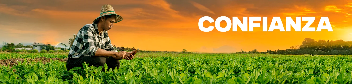 Productos agrícolas - Cosecha de alta calidad