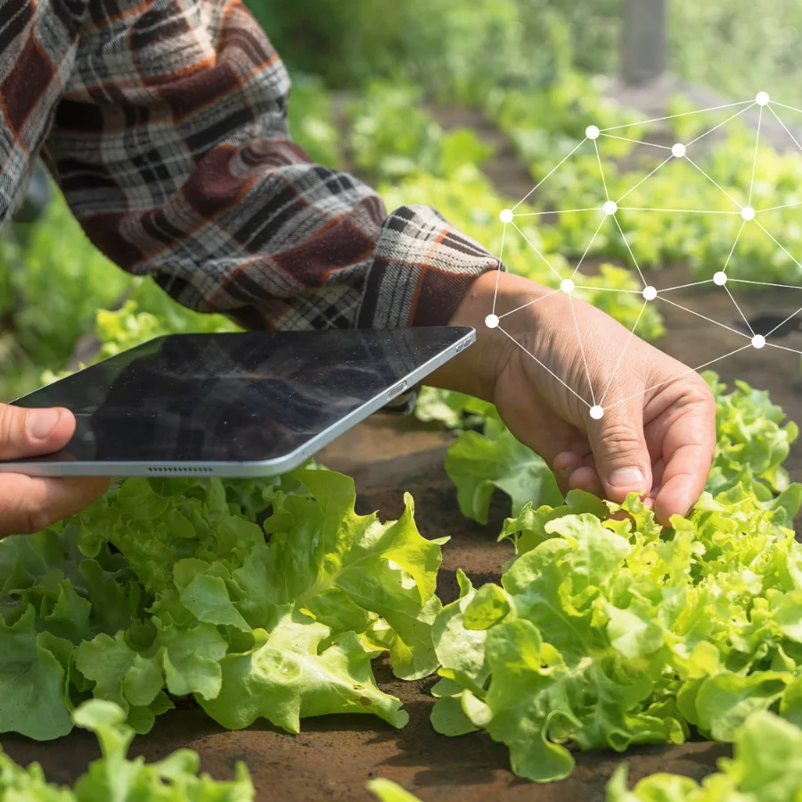 Blog y noticias del sector agrícola