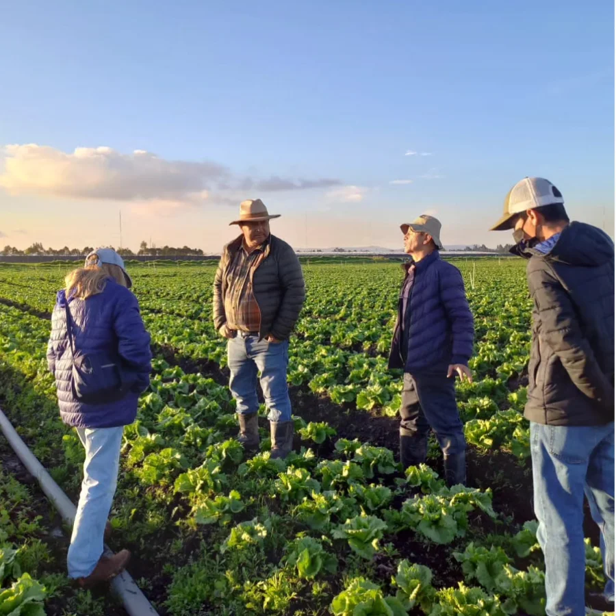 Experiencias de productores con IAGROS
