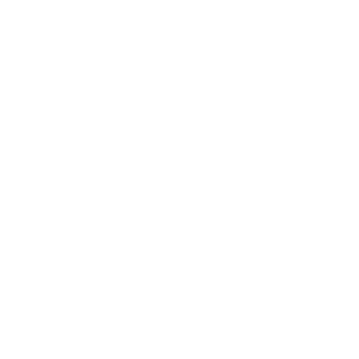 Disan