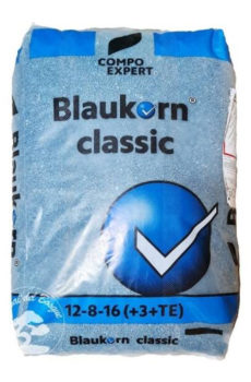 Blaukorn