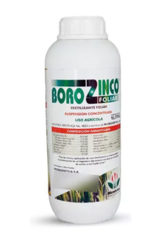 BoroZinco