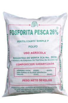 Fosforita (Roca Fosfórica)