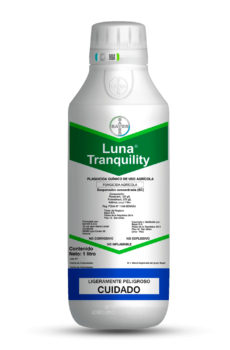 Luna Tranquility: Fungicida Sistémico para el Control Prolongado de Enfermedades Fúngicas