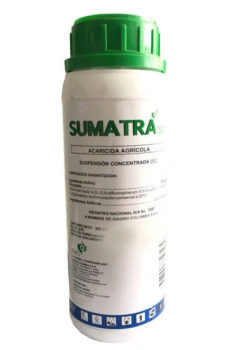 Sumatra