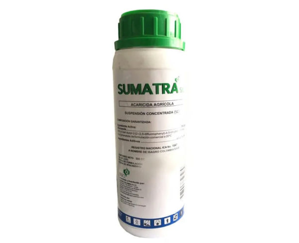 Sumatra