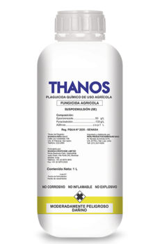 Thanos