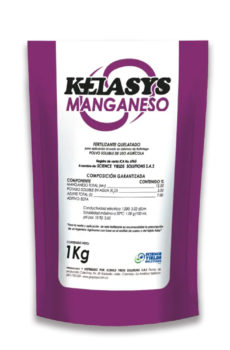 Kelasys Mn
