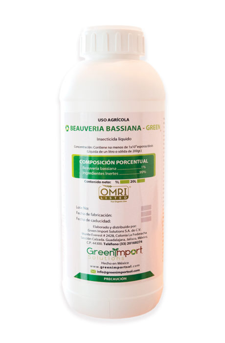 Beauveria bassiana