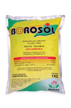 Borosol