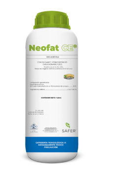 Neofat