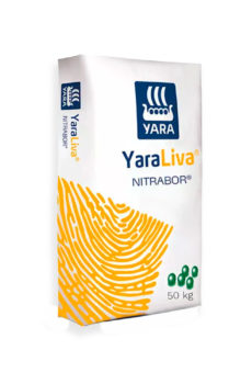 NITRABOR
