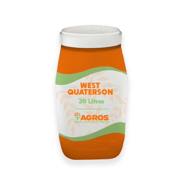 West Quaterson