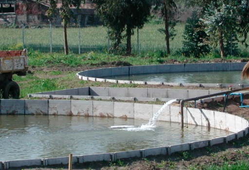 calidad-del-agua-1
