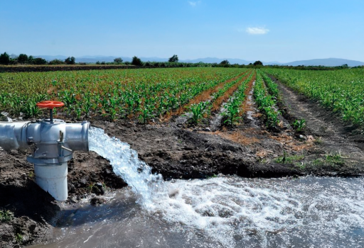 calidad-del-agua-2